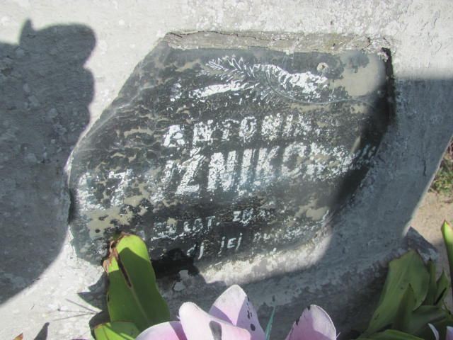 Antonina Czyżnikowska 1880 Lubień Kujawski - Grobonet - Wyszukiwarka osób pochowanych