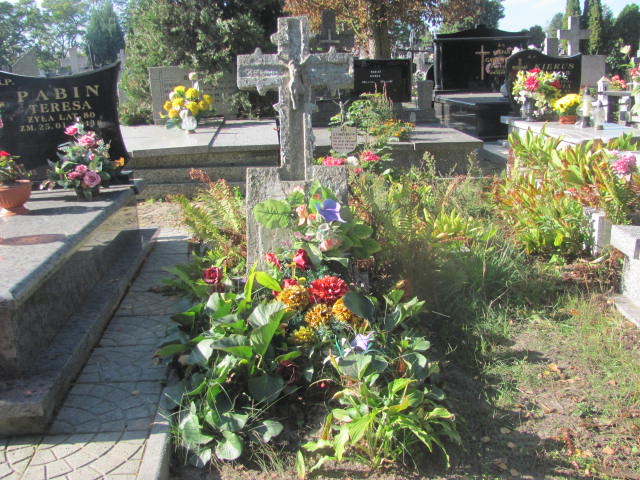 Włodzimierz Gromadzki 1950 Lubień Kujawski - Grobonet - Wyszukiwarka osób pochowanych